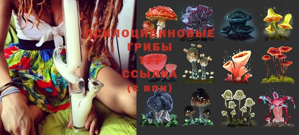 экстази Осташков
