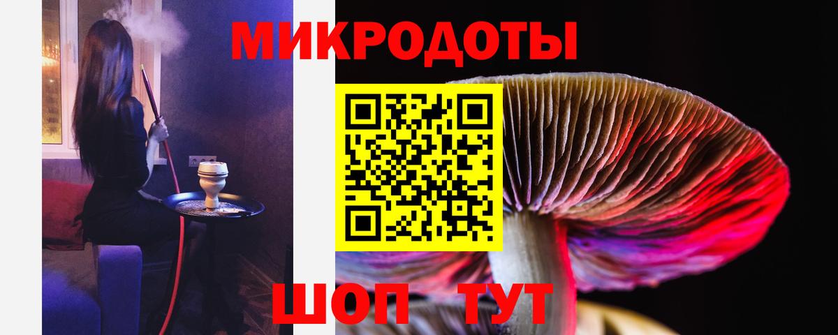 Галлюциногенные грибы Psilocybe Новошахтинск