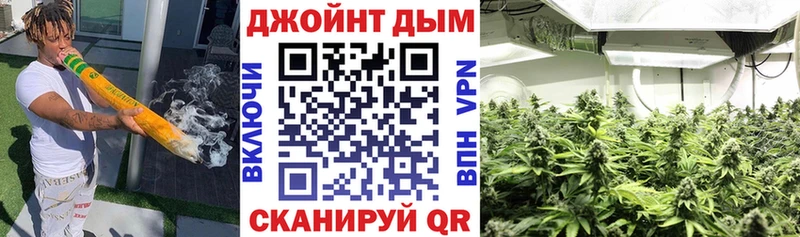 купить наркотик  Новошахтинск  Конопля план 